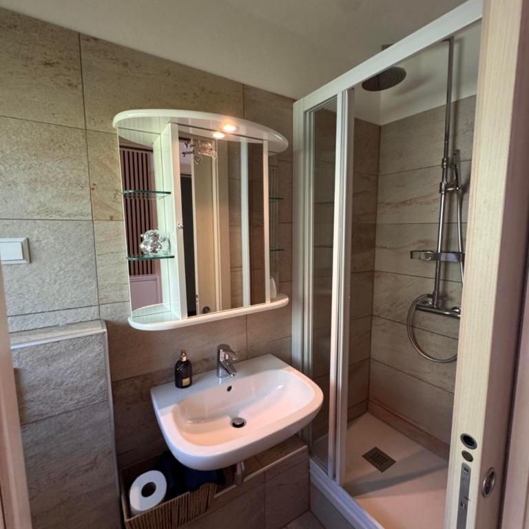 Haus Birkenhain - Alpique Apartment - One-Bedroom Apartment with Shower - 6