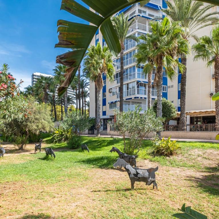 Ocean II 9-C Apartment Levante Beach - Apartment - 27