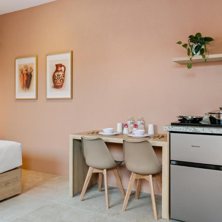 Damián Carmona By Homi Rent - Suite Executive - 12