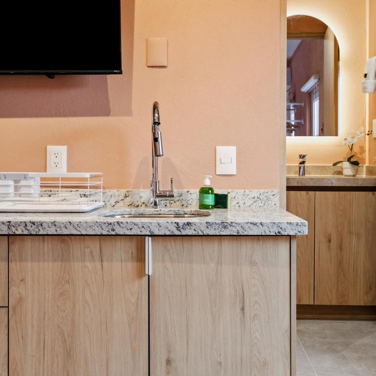 Damián Carmona By Homi Rent - Suite Executive - 9