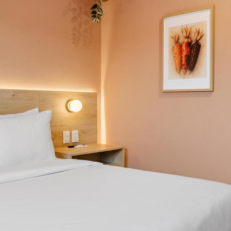 Damián Carmona By Homi Rent - Suite Executive - 11