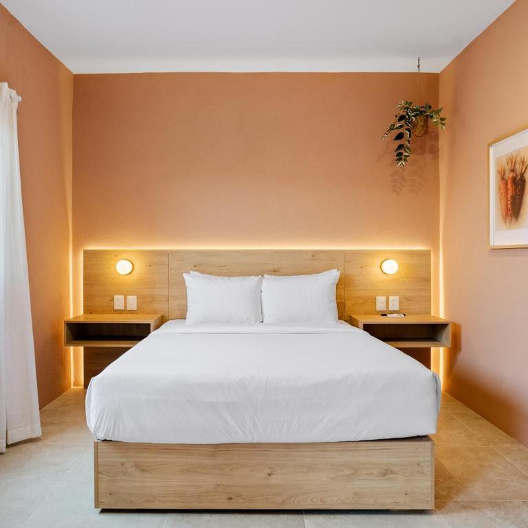 Damián Carmona By Homi Rent - Suite Executive - 13