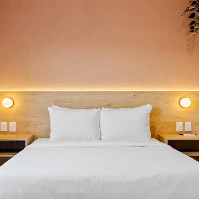 Damián Carmona By Homi Rent - Suite Executive - 29