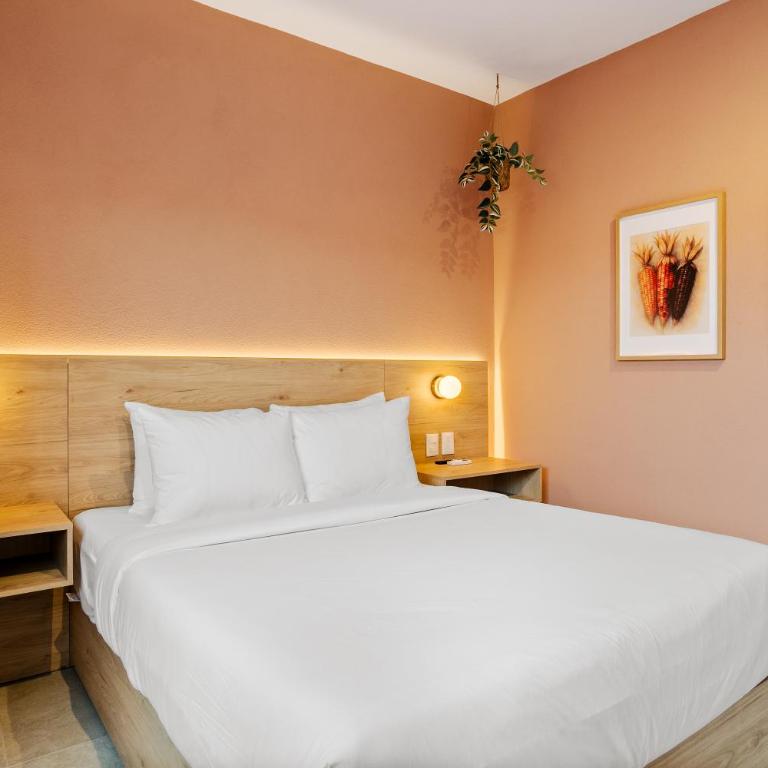 Damián Carmona By Homi Rent - Suite Executive - 27