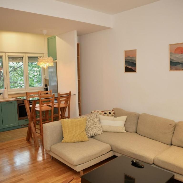 Vracar City Apartment - One-Bedroom Apartment - 2