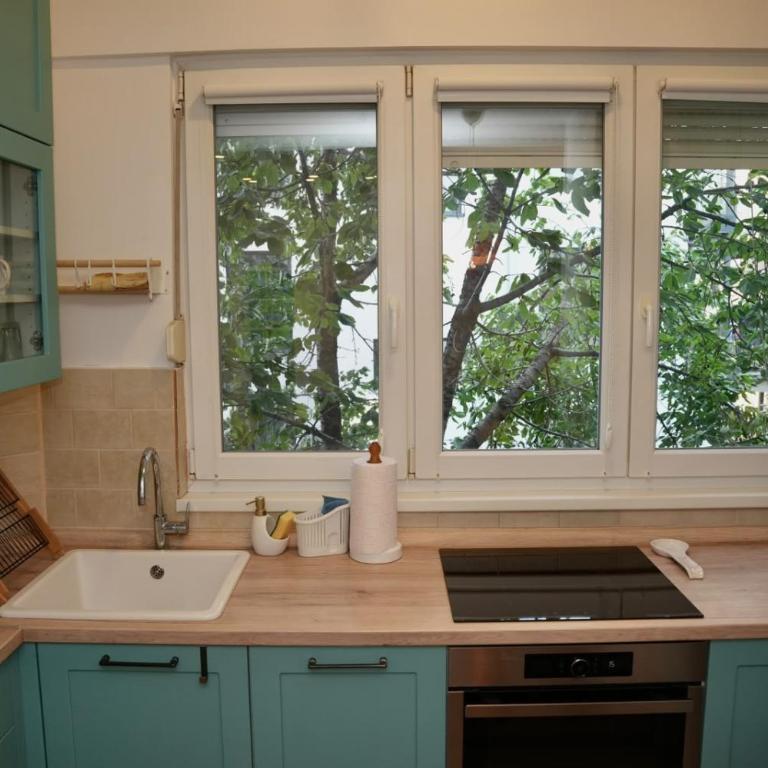 Vracar City Apartment - One-Bedroom Apartment - 11