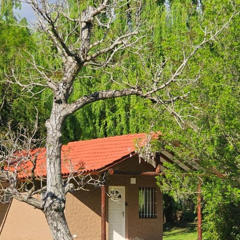Cabañas Raices del Valle - Casa con 1 dormitorio - 12