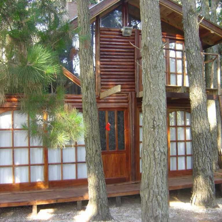 Complejo Bosque y Mar - One-Bedroom Apartment - 1