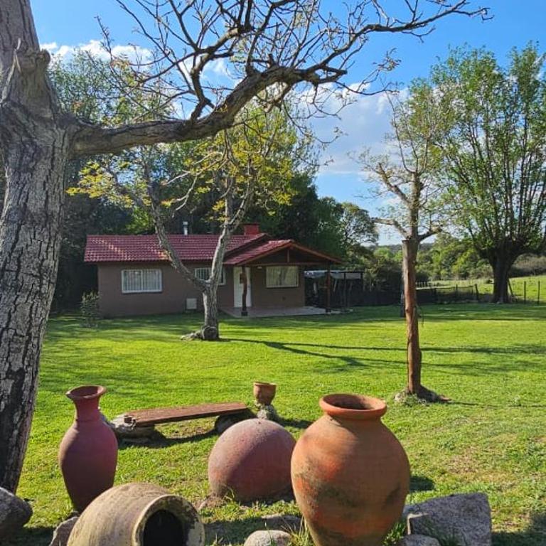 Cabañas Raices del Valle - Casa de 2 dormitorios - 48