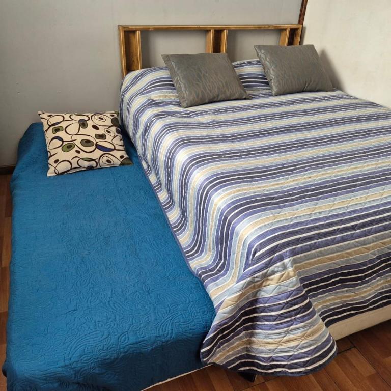 Alojamiento Punta Arenas - Habitación Triple con baño privado - 10