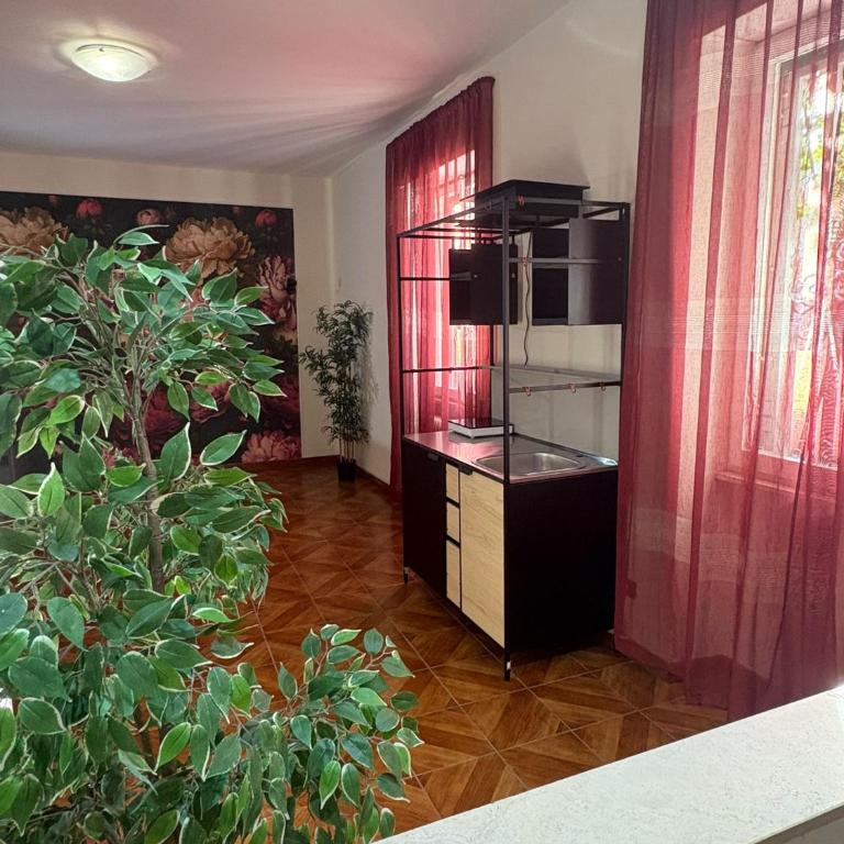 Eva Suites - Camera Matrimoniale con Bagno Privato - 6