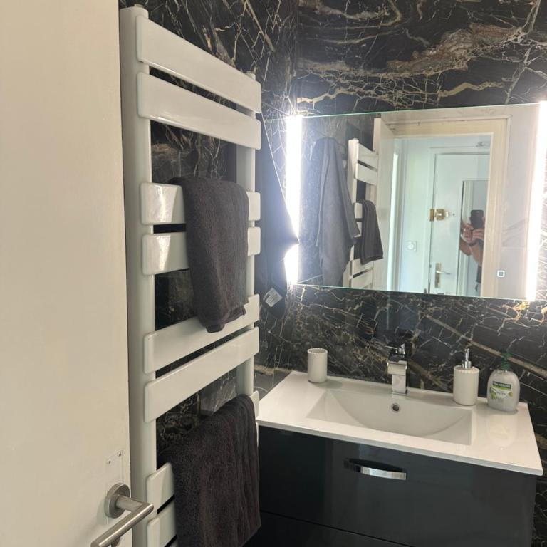 Charmant studio renové au coeur de lyon 3 - Appartement 1 Chambre - 3