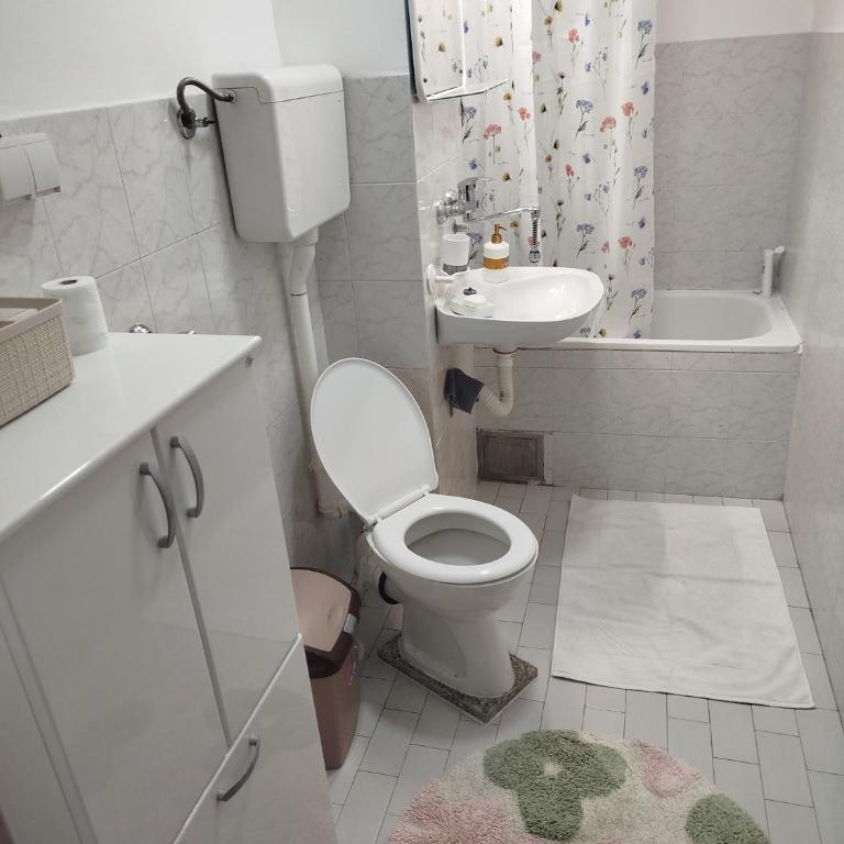 Rakic apartment - Apartman sa 1 Spavaćom Sobom - 11