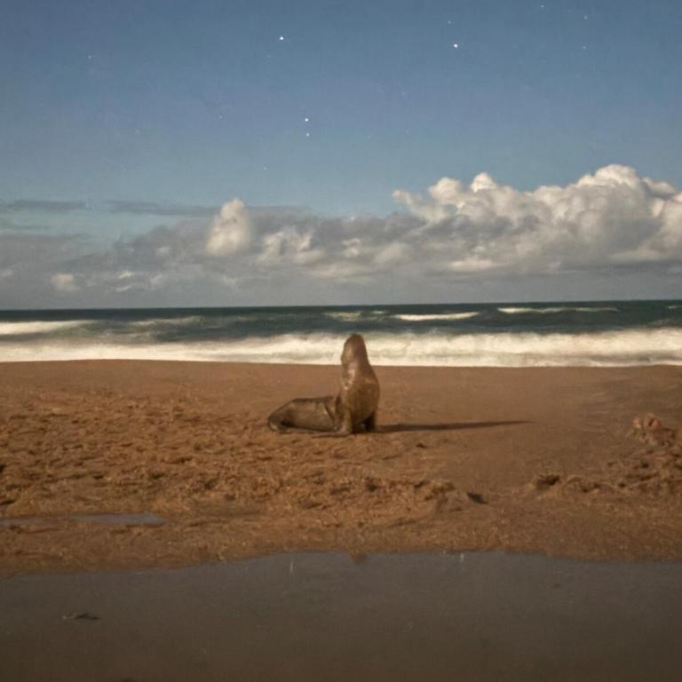 Hermosa casa a metros de la playa en la Esmeralda Rocha - Casa de 3 dormitorios - 35