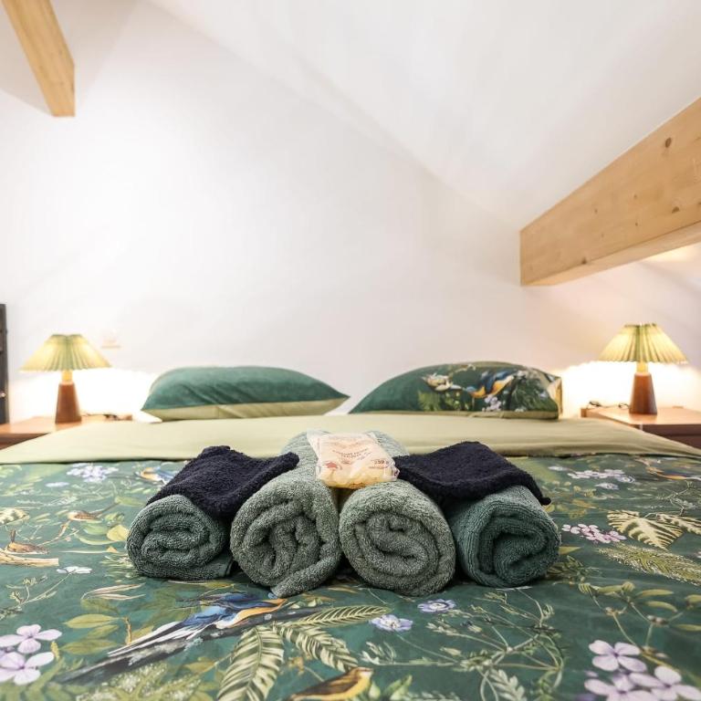 Souffle du Lac - Gérardmer Vogesen - Apartment - 4