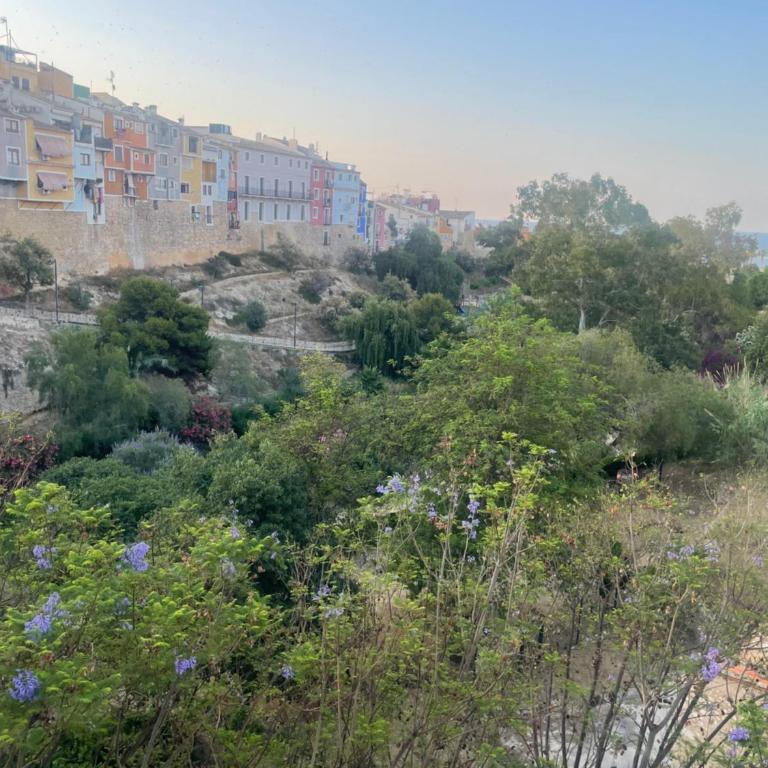 Bonefish 3 Apartment - Appartamento con 3 Camere da Letto - 39