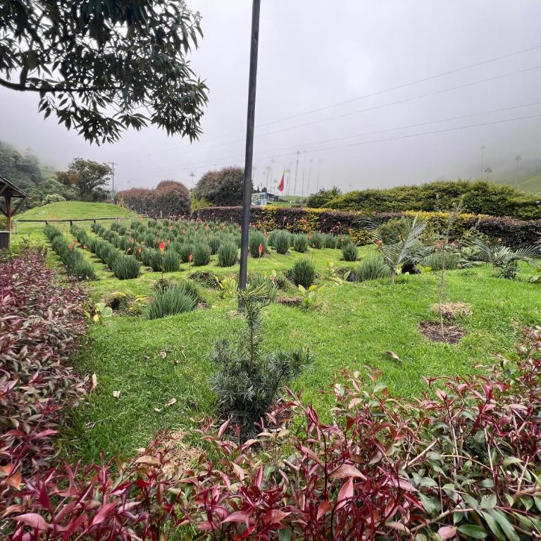 morada del bosque - Two-Bedroom House - 2