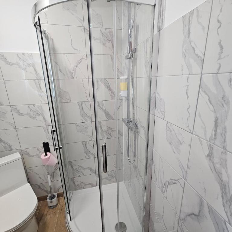 StudioG-5 Charme Clim Parking Oncopole Univ JJ - Appartement 1 Chambre - 7
