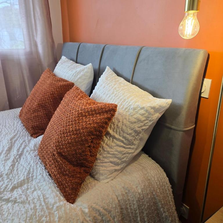 StudioG-5 Charme Clim Parking Oncopole Univ JJ - Appartement 1 Chambre - 6