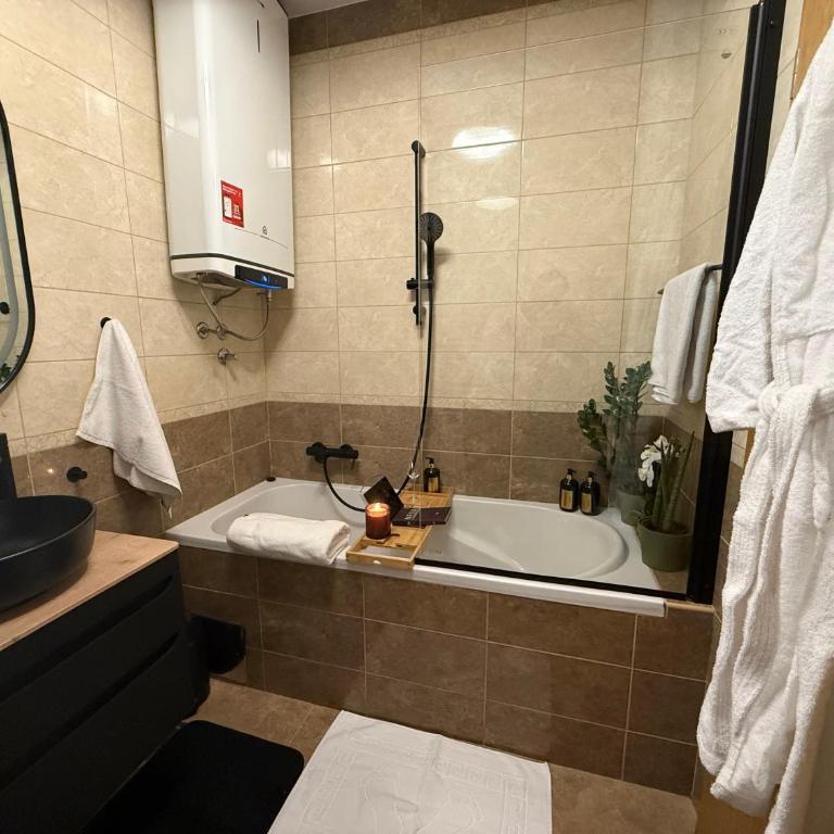 Aleja Dua - Apartman sa 1 Spavaćom Sobom - 20