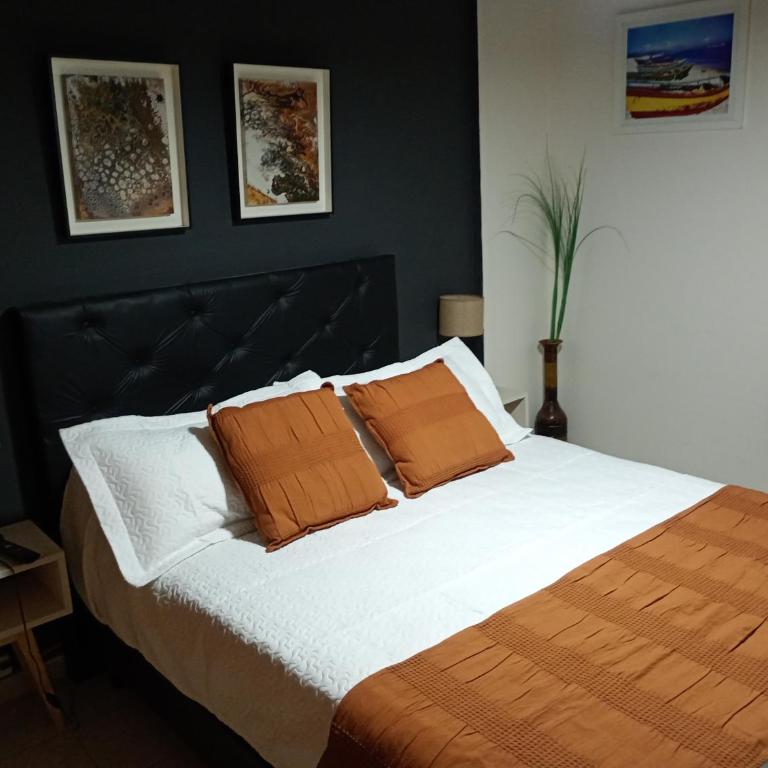 DPTO NUEVOCENTRO Córdoba - Apartment - 30