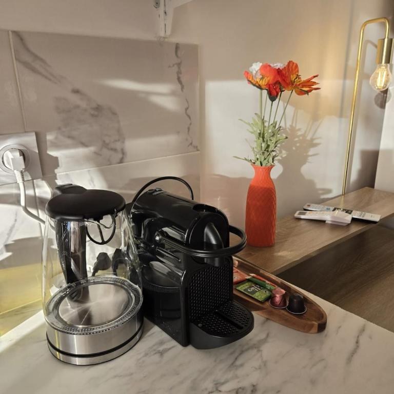 StudioG-6 Douillet Clim Parking Oncopole UnivJJ - Appartamento con 1 Camera da Letto - 14