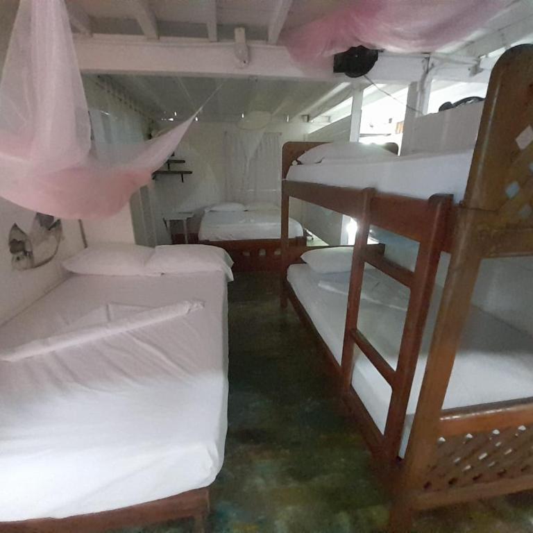 Hospedaje Pirata Express - Family Room with Private Bathroom - 11