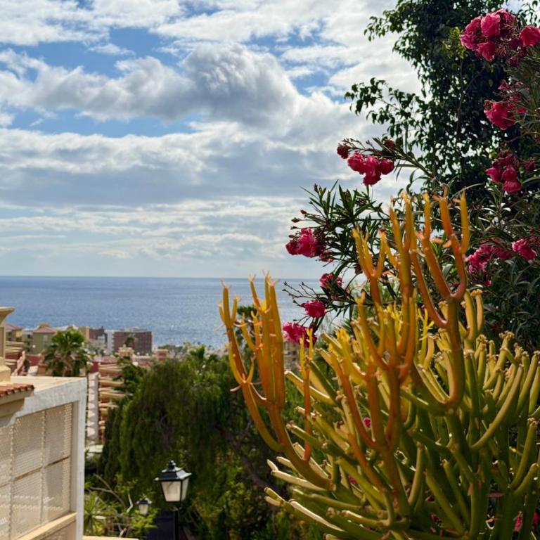 Sunny Terrace Apartment with Pools in Costa Adeje - Appartement avec Terrasse - 21