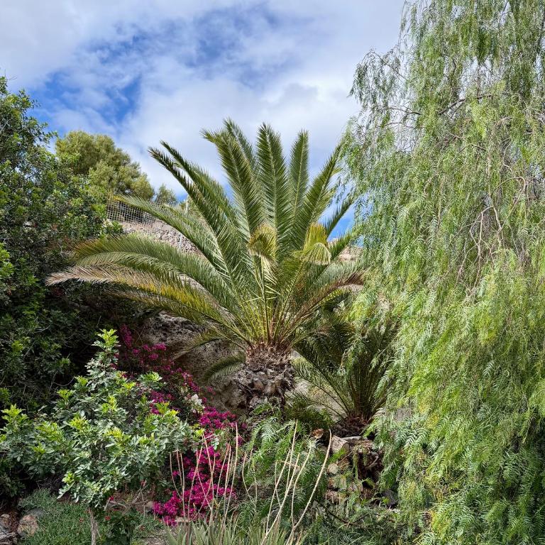 Sunny Terrace Apartment with Pools in Costa Adeje - Appartement avec Terrasse - 20