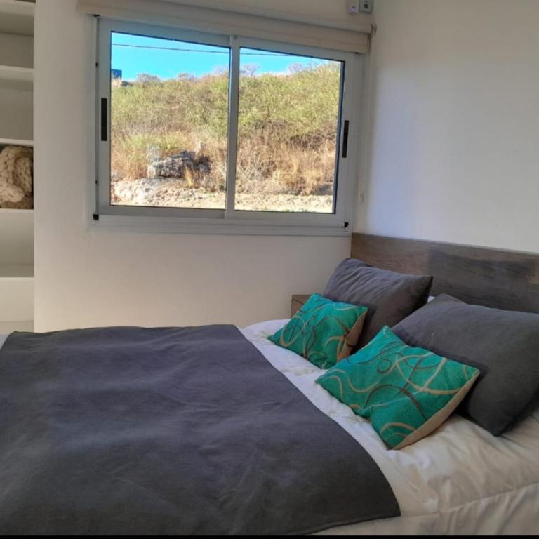 Barrancas - One-Bedroom Apartment - 12