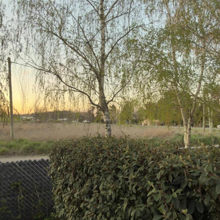 Villa Magnolias Tandil - Apartamento - 11