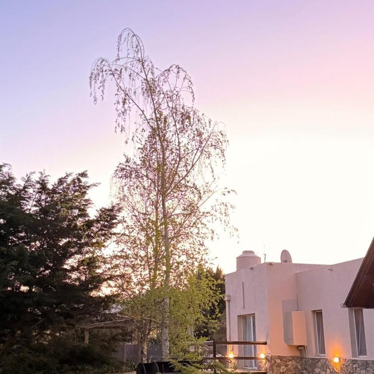 Villa Magnolias Tandil - Apartamento - 12