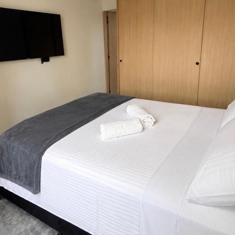 Talentos - Apartamento Estándar de 3 dormitorios - 1