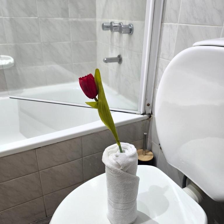 Sol de Palermo - Apartamento de 2 dormitorios - 29
