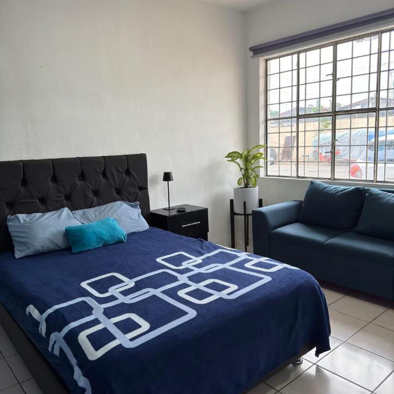 Apartamentos 38 - Apartamento Estudio - 1 cama doble - 6
