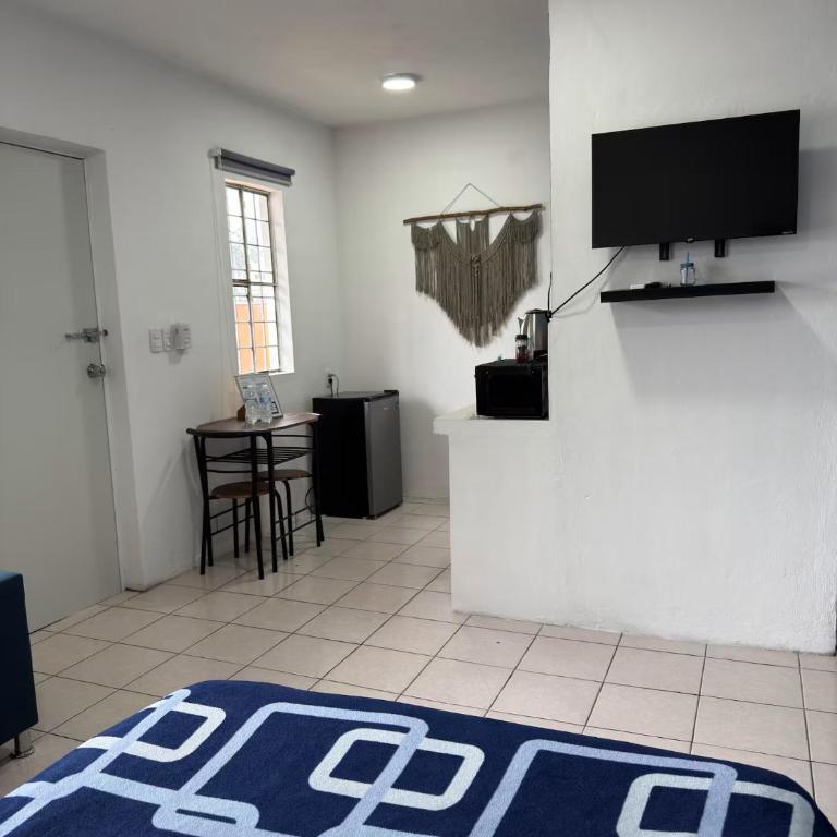 Apartamentos 38 - Apartamento Estudio - 1 cama doble - 8