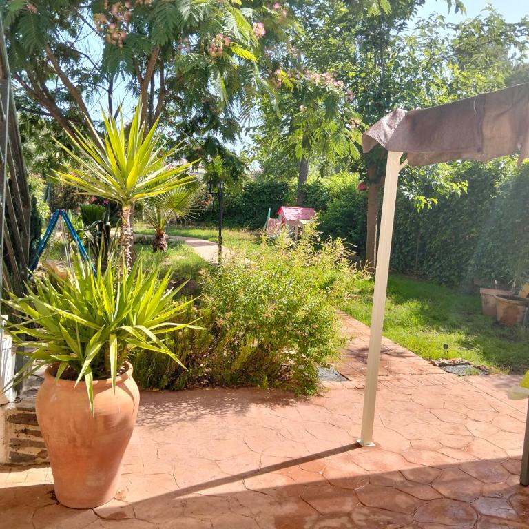 El Madroño de la Encantada - Two-Bedroom House - 32