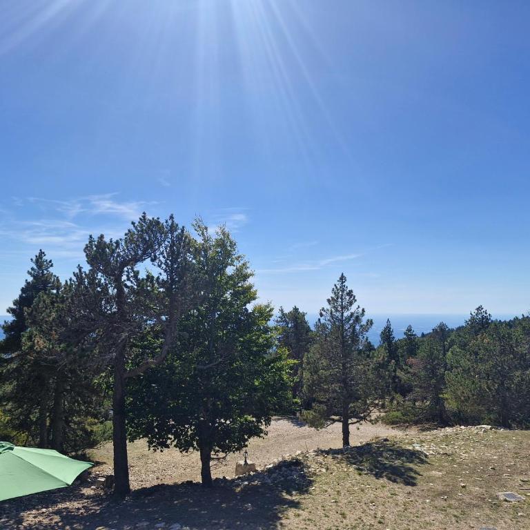 La Bergerie - Chalet contemporain au Mont Ventoux - Chalet - 17
