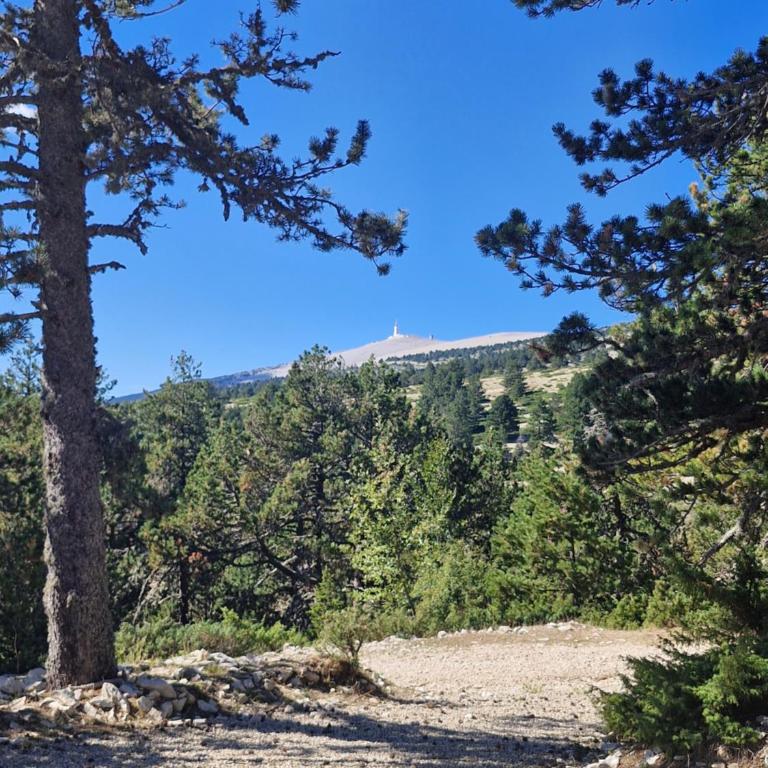 La Bergerie - Chalet contemporain au Mont Ventoux - Chalet - 26