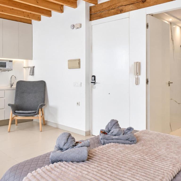 Loft elegante en Plaza del Carmen F3 - Apartment mit 1 Schlafzimmer - 19