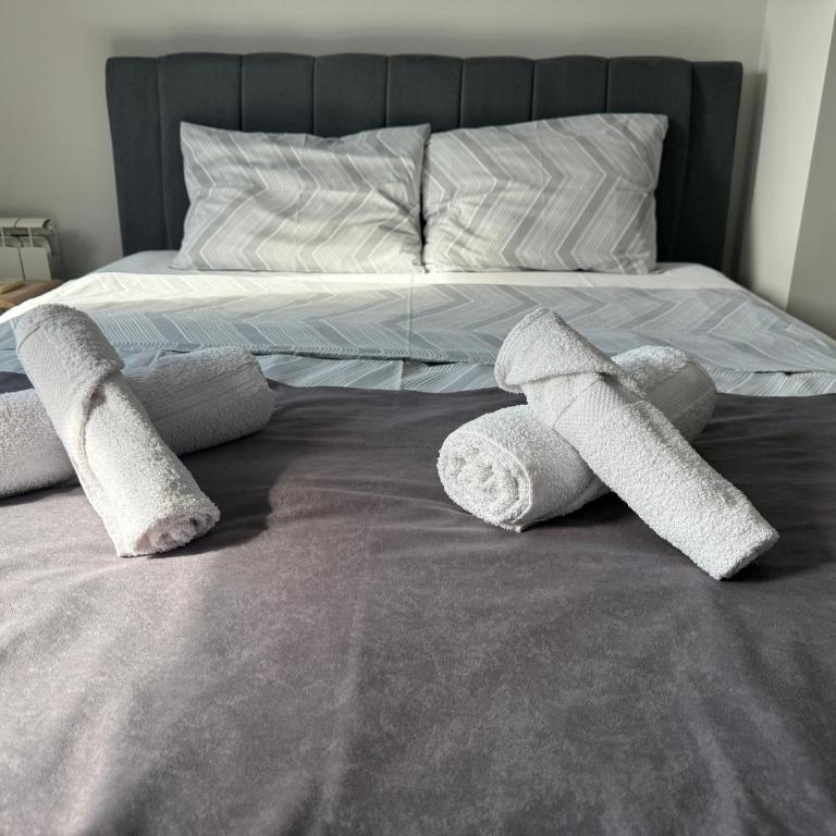 Doppio - One-Bedroom Apartment - 6