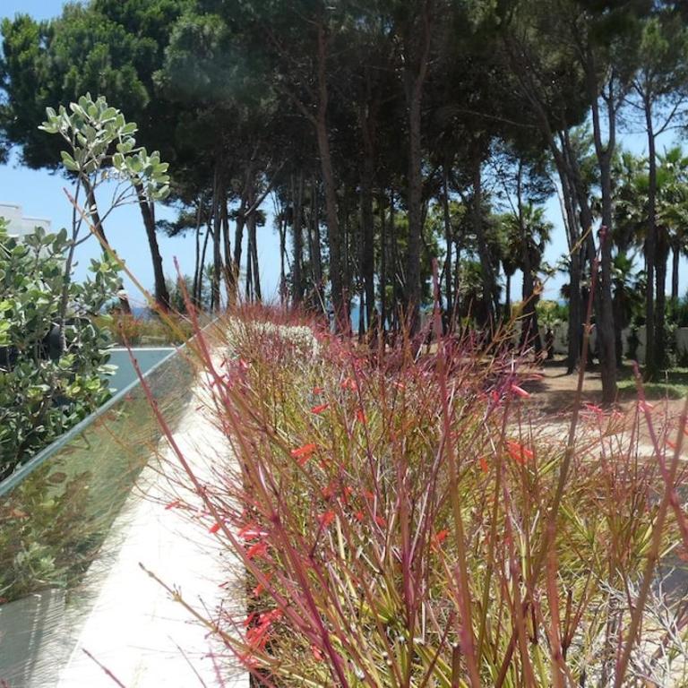 The Island Estepona Casa 5 Luxury Beachfront - Appartamento con 1 Camera da Letto - 31