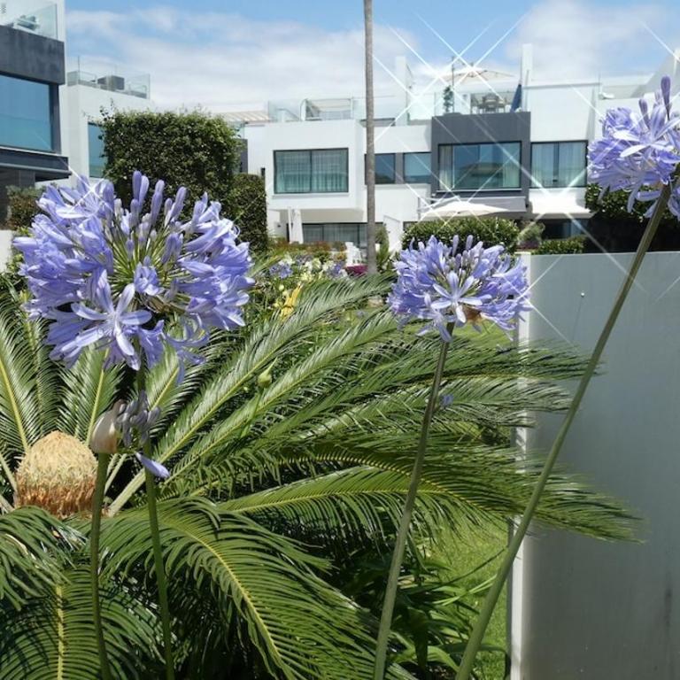 The Island Estepona Casa 5 Luxury Beachfront - Appartamento con 1 Camera da Letto - 62