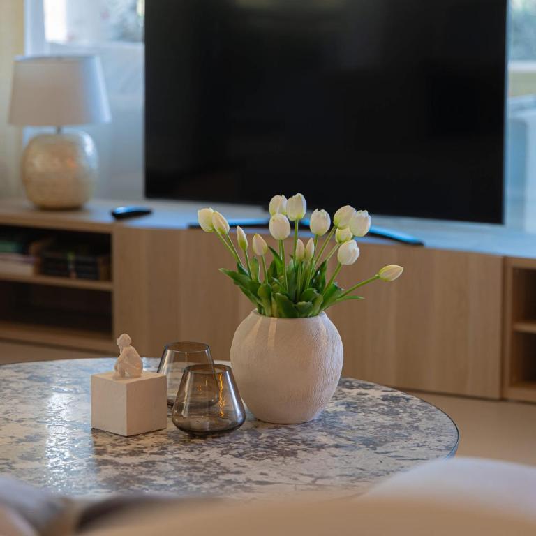 Higueron 3 bedroom apt with private plunge pool - Appartement - 7
