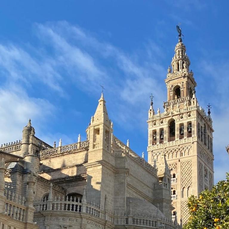 White Premium Alameda - Apartamento de 1 dormitorio - 12