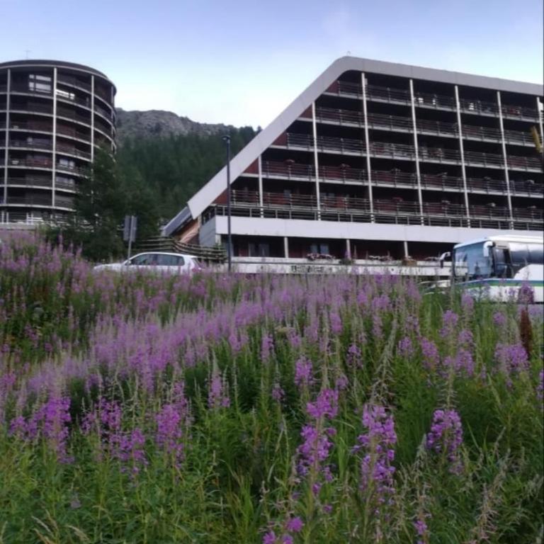 Cosy apartment overlooking Cervinia & Matterhorn - Appartamento con 2 Camere da Letto - 12