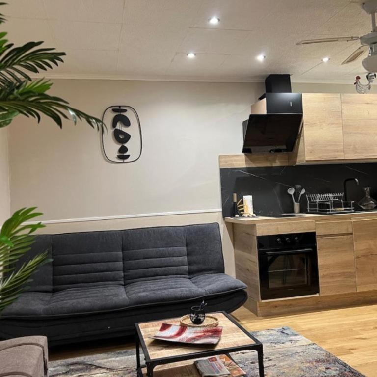 Appartement Cosy en Centre ville tout équipé - Appartamento Classic con 1 Camera da Letto e Letto King-Size - 1