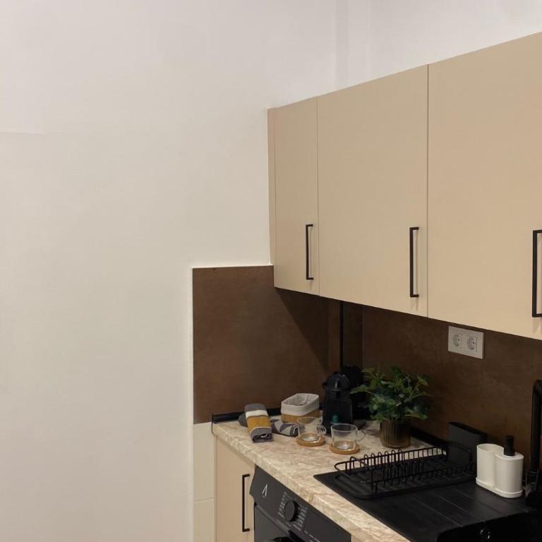 R&M Suite Home - Apartamento de 1 dormitorio - 29