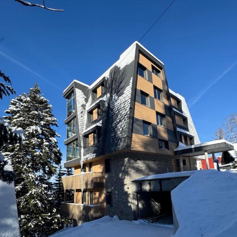 Well Mont apart 13 - One-Bedroom Apartment - 4
