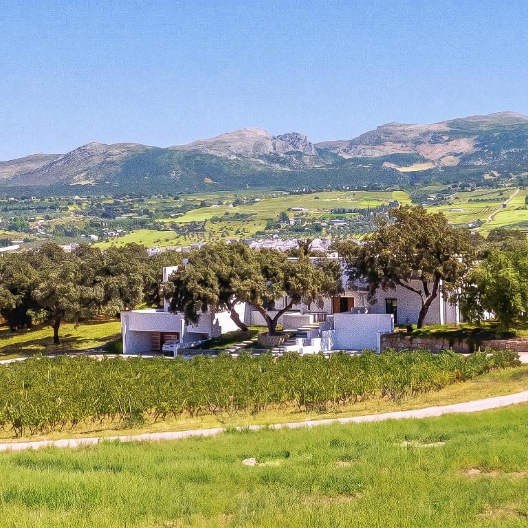Cubo's Villa La Caldera - Villa - 91